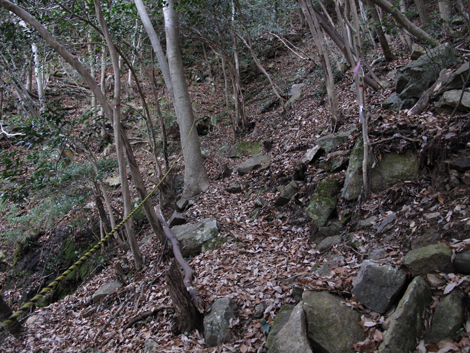 20140102hike (58)